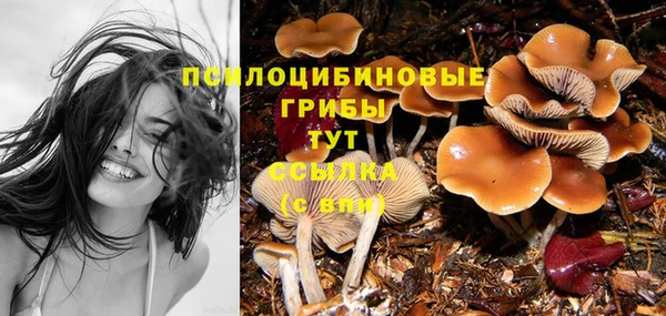 кокаин перу Медногорск