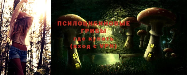 PSILOCYBIN Дедовск