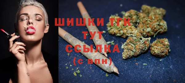 шишки Гусев