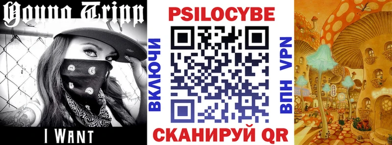 hydra ссылки  Карталы  Галлюциногенные грибы Cubensis  цены  