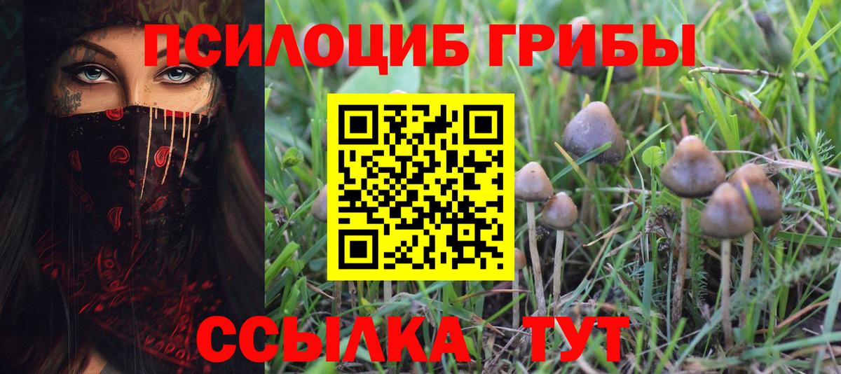 Гашиш  Бошки Шишки  МЕФ   Карталы  А ПВП СОЛЬ   Цена  КОКАИН 