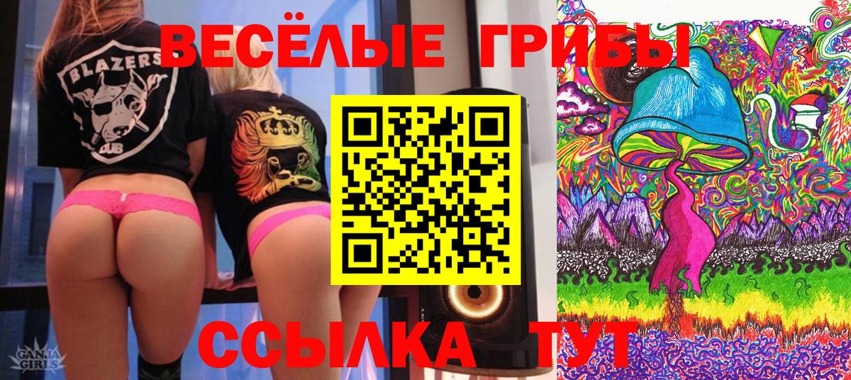 Галлюциногенные грибы Magic Shrooms Карталы