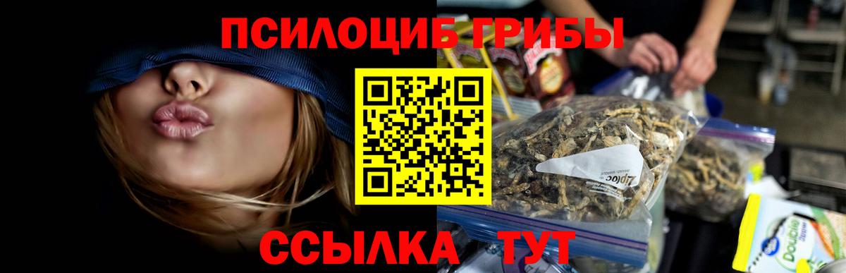 Галлюциногенные грибы Cubensis  Карталы 