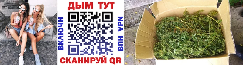 купить закладку  Карталы  кракен ТОР  Шишки марихуана SATIVA & INDICA 
