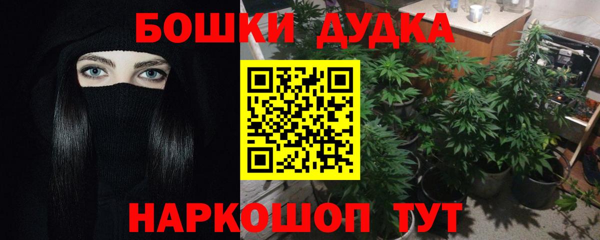 Канабис семена  Шишки марихуана планчик  Карталы  Марихуана индика  Вход с VPN 
